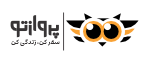 logoFooter